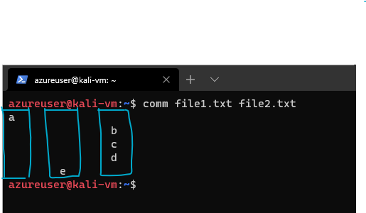 An intro to comm and diff commands